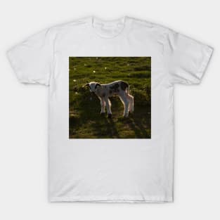 Newborn lamb T-Shirt